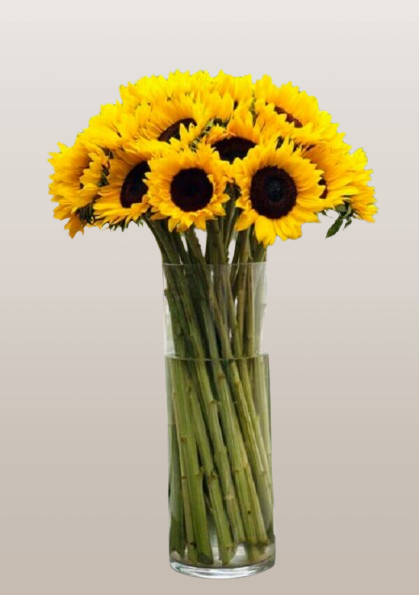 Arrangements Sunflower